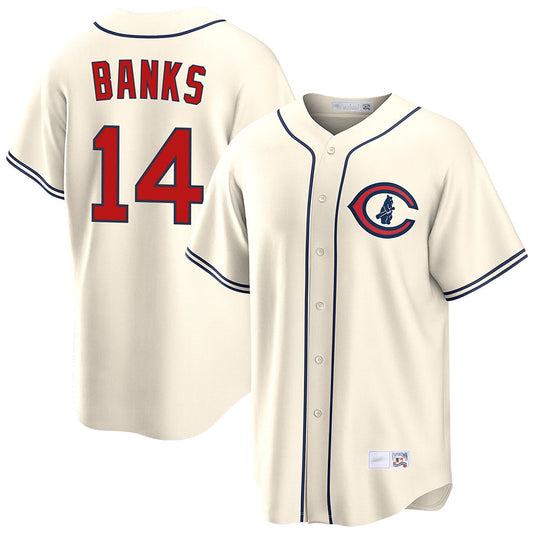 C.Cubs #14 Ernie Banks Player Field of Dreams Baseball Jerseys